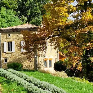 Du Grand Delmas Bourdeaux